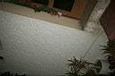navidad2003 092.jpg